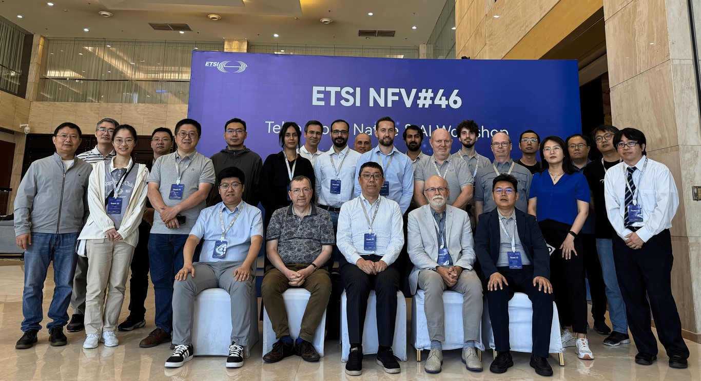 Meeting participants at NFV46